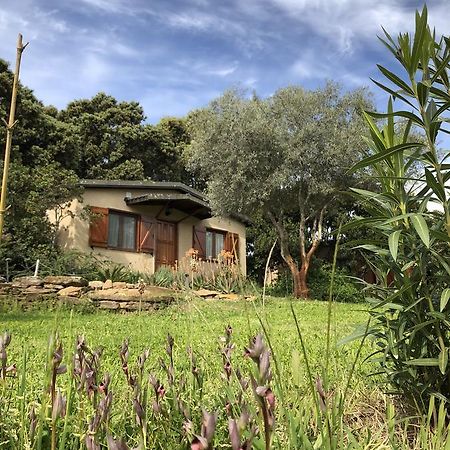 La Cerca Del Alcornoque Guest House Casas de Belvis Eksteriør bilde