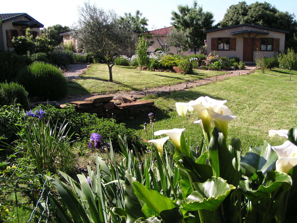 La Cerca Del Alcornoque Guest House Casas de Belvis Eksteriør bilde