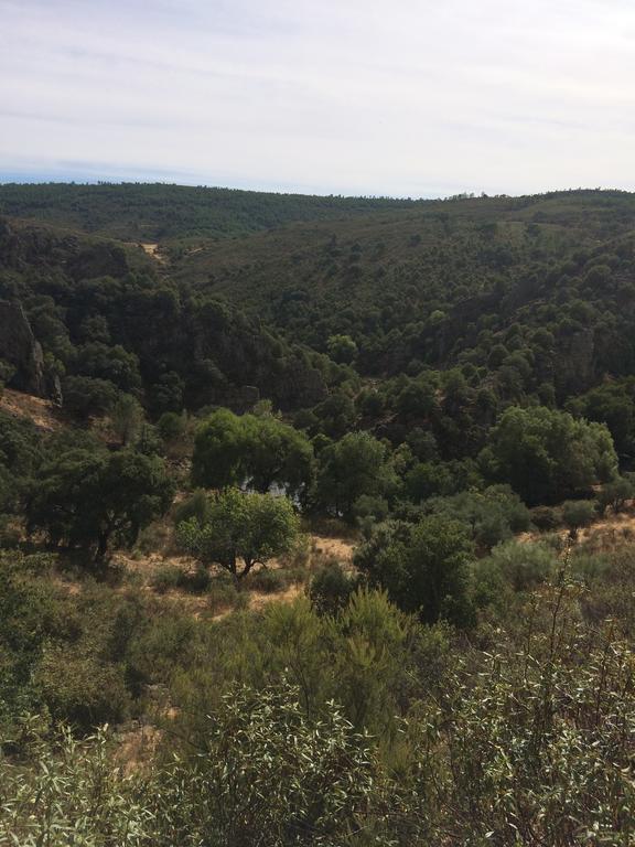 La Cerca Del Alcornoque Guest House Casas de Belvis Eksteriør bilde