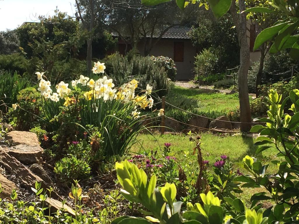 La Cerca Del Alcornoque Guest House Casas de Belvis Eksteriør bilde