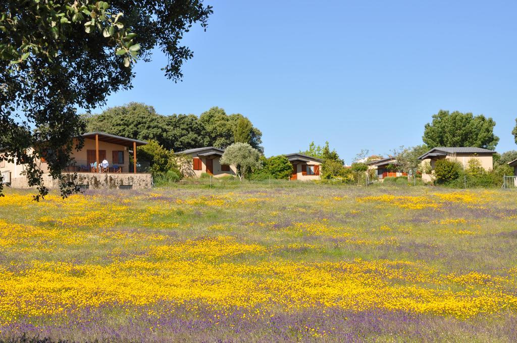 La Cerca Del Alcornoque Guest House Casas de Belvis Eksteriør bilde