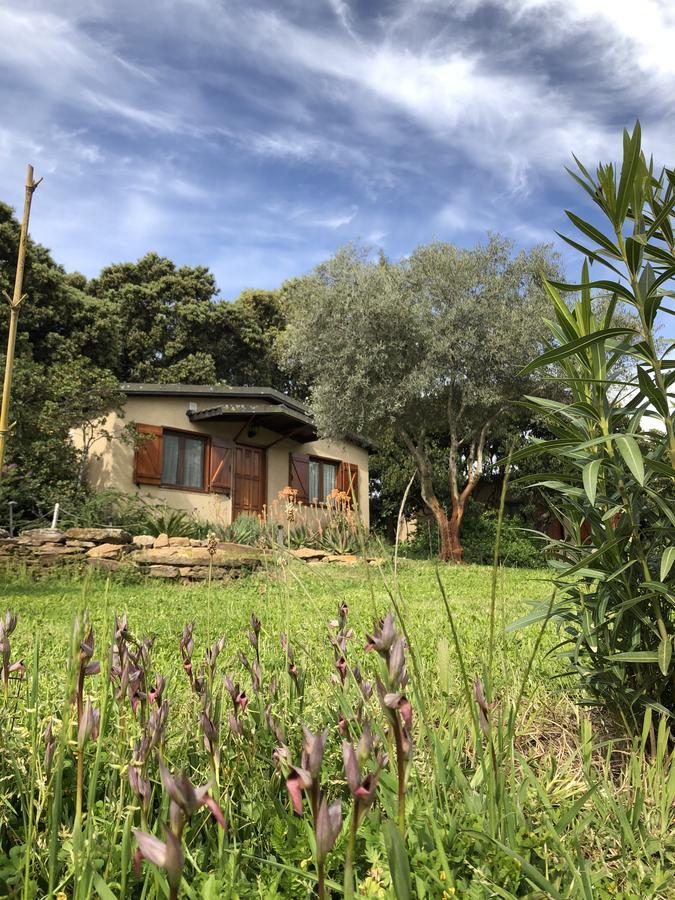 La Cerca Del Alcornoque Guest House Casas de Belvis Eksteriør bilde